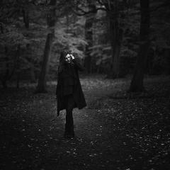 Platform von Melissa Parmenter (Download) 