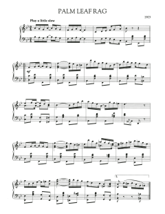 Palm Leaf Rag (Download) 