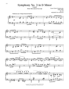 Symphony No. 3 In D Minor (Download) 