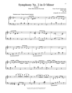 Symphony No. 3 In D Minor (Download) 