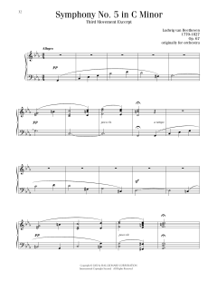 Symphony No. 5, Third Movement Excerpt (Download) 