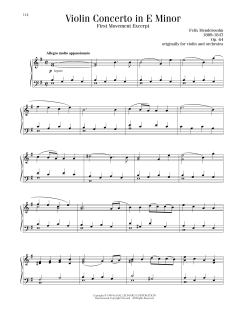 Violin Concerto in E Minor, First Movement Excerpt (Download) 