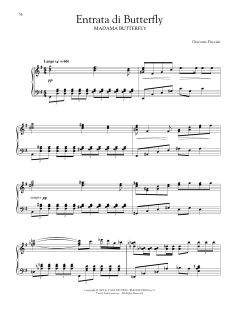 Entrance Of Butterfly (Download) 