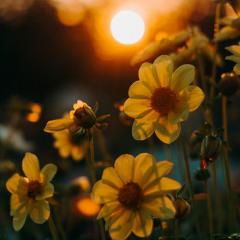 I Miss That Time von Austin Farwell (Download) 