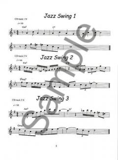 100 Ultimate Jazz Riffs von Andrew D. Gordon 