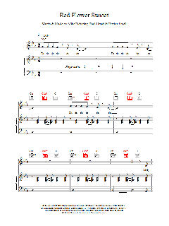 Red Flower Sunset (Download) 