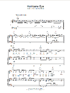 Hurricane Eye von Michael Nyman (Download) 