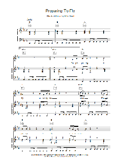 Preparing To Fly von The Waterboys (Download) 