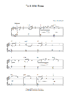 To A Wild Rose von Edward MacDowell (Download) 