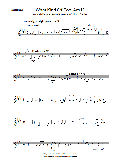 What Kind Of Fool Am I von Frank Sinatra (Download) 