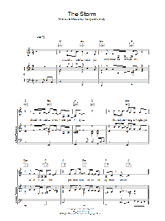 The Storm von Marcelo Zarvos (Download) 