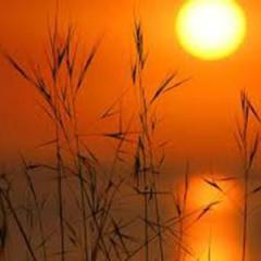 Aftenglød - Sol Går Under Bål Og Brand von Ludwig van Beethoven (Download) 