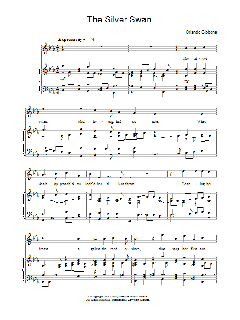 The Silver Swan von John Lennon (Download) 