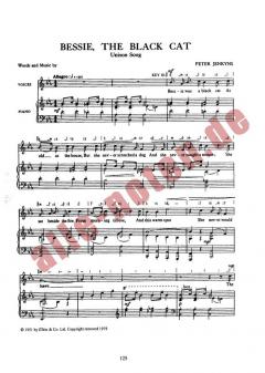 Bessie The Black Cat von Peter Jenkyns 