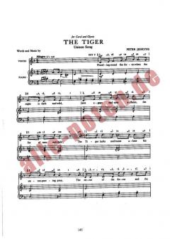 The Tiger von Peter Jenkyns 