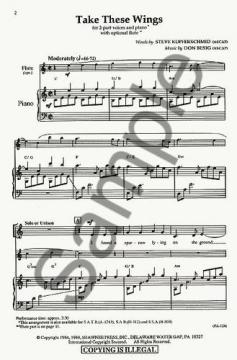 Take These Wings von Don Besig 