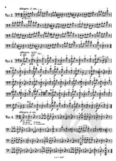 40 Variationen Op. 3 von Otakar Ševčík 