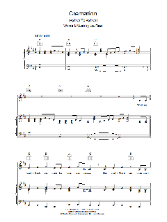 Cremation von Lou Reed (Download) 