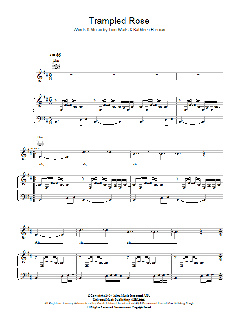 Trampled Rose von Robert Plant (Download) 