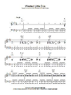 Wasted Little DJs von The View (Download) 