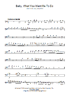 Baby, What You Want Me To Do von John Stephens (Download) 