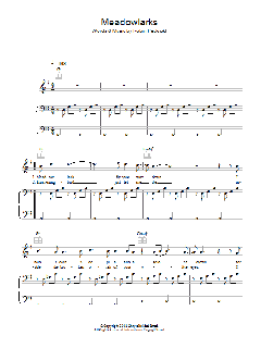 Meadowlarks von Fleet Foxes (Download) 