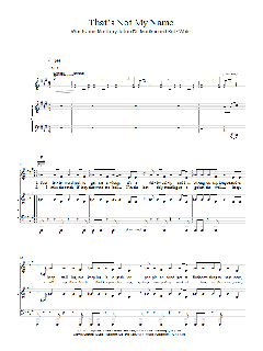 That's Not My Name von The Ting Tings (Download) 