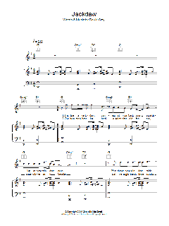 Jackdaw von David Gray (Download) 