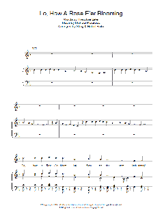 Lo, How A Rose E'er Blooming von Sting (Download) 