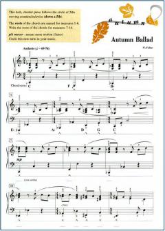 Piano Adventures: Lesson Book - Level 5 von Randall Faber 