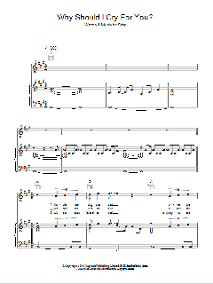 Why Should I Cry For You? von Sting (Download) 