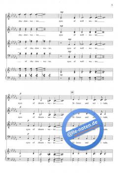 Water Night von Eric Whitacre 