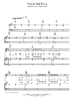 You're Not Sorry von Taylor Swift (Download) 