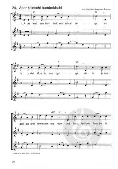 Die schönsten Herbst- und Winterlieder 