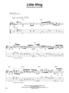 Guitar Play-Along Vol. 49: Stevie Ray Vaughan von Stevie Ray Vaughan 