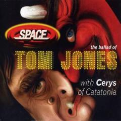 The Ballad Of Tom Jones von Space (Download) 