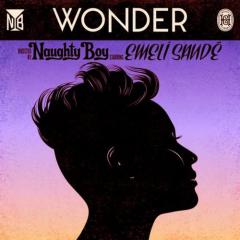 Wonder (featuring Emeli Sande) von Emeli Sandé (Download) 