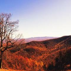 There's A Blue Ridge Round My Heart Virginia von Alfred Bryan (Download) 