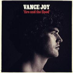 Fire And The Flood von Vance Joy (Download) 