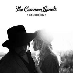 Calm After The Storm von The Common Linnets (Download) 