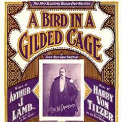 A Bird In A Gilded Cage von James Newton Howard (Download) 