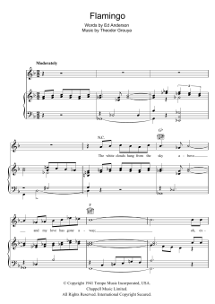 Flamingo von Jack Murphy (Download) 