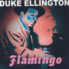 Flamingo von Jack Murphy (Download) 