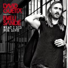 What I Did For Love (featuring Emeli Sande) von David Guetta (Download) 