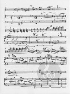 Partita For Violin And Piano von Witold Lutoslawski im Alle Noten Shop kaufen
