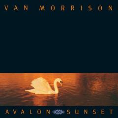 Orangefield von Van Morrison (Download) 