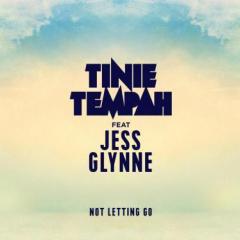 Not Letting Go (featuring Jess Glynne) von Tinie Tempah (Download) 