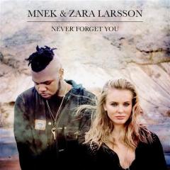 Never Forget You von Zara Larsson (Download) 