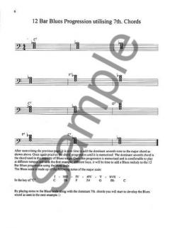 100 Ultimate Blues Riffs 