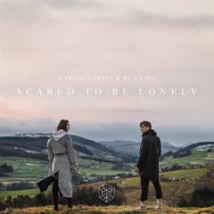 Scared To Be Lonely von Martin Garrix (Download) 